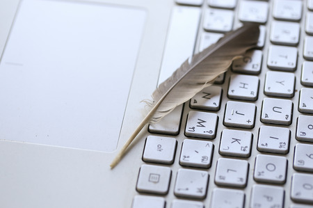 41427505-feather-on-laptop